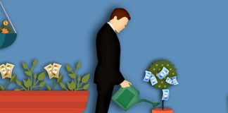 Pianta dei soldi: ecco tutta la verità sull’albero Feng Shui