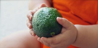 Business alimentazione bambini biologica: guida completa per investire nel settore in crescita