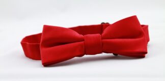 Indossare il papillon: regole di stile e suggerimenti